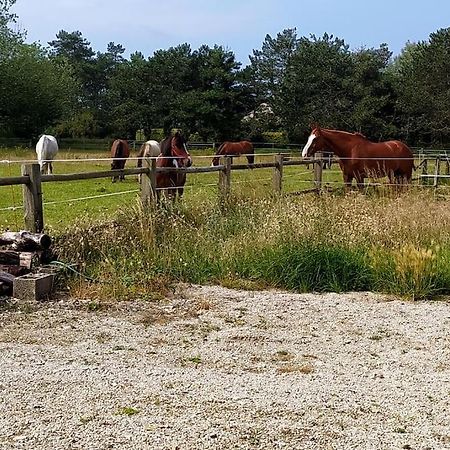 Le Gite De La Ferme Portbail Eksteriør bilde
