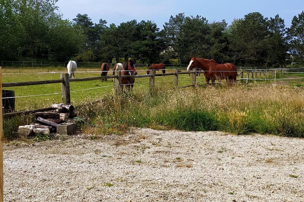 Le Gite De La Ferme Portbail Eksteriør bilde