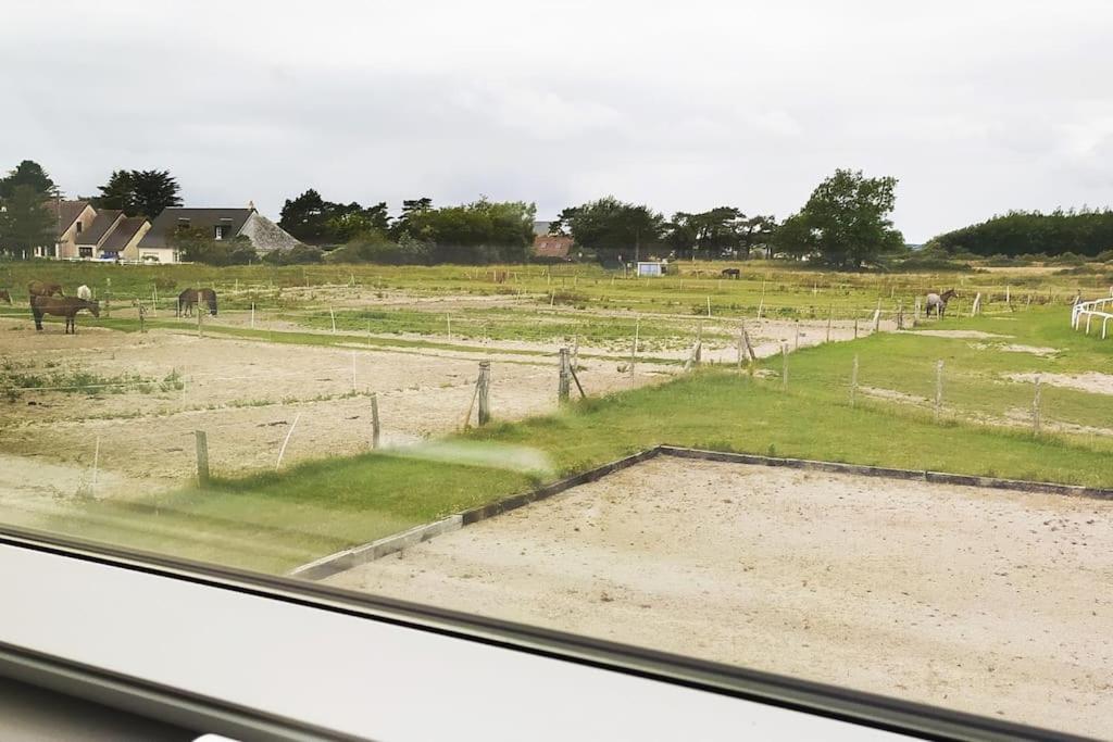 Le Gite De La Ferme Portbail Eksteriør bilde