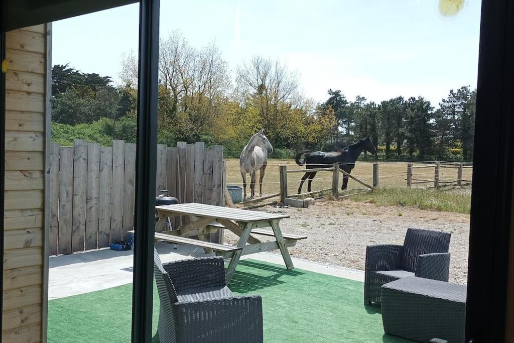 Le Gite De La Ferme Portbail Eksteriør bilde