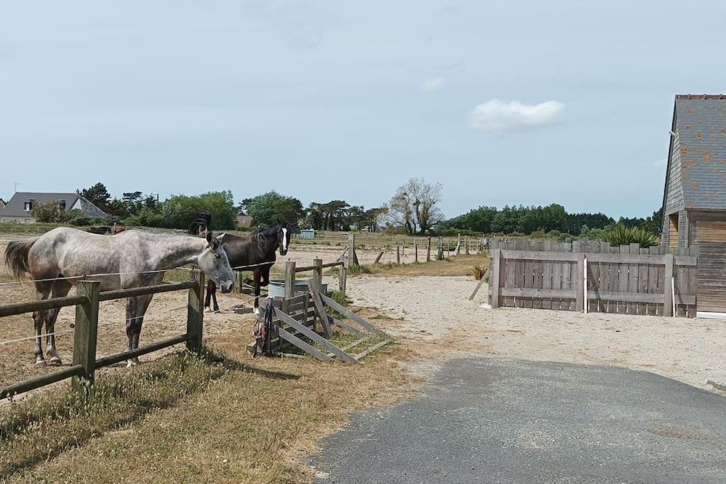 Le Gite De La Ferme Portbail Eksteriør bilde